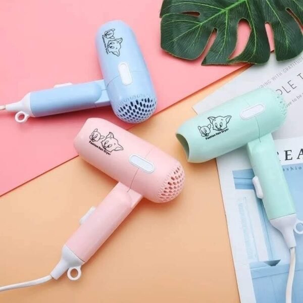 Fashion hair dryer